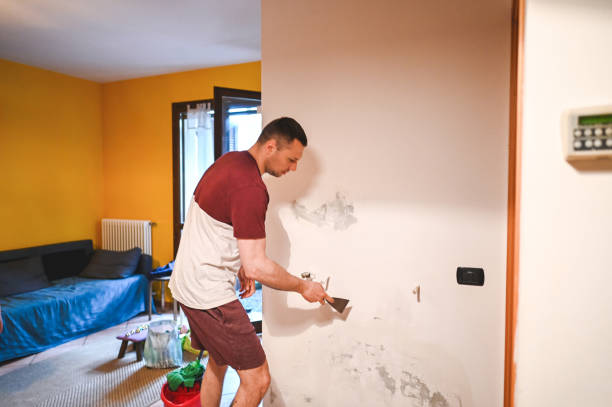 Best Mold Damage Repair  in Opa Locka, FL